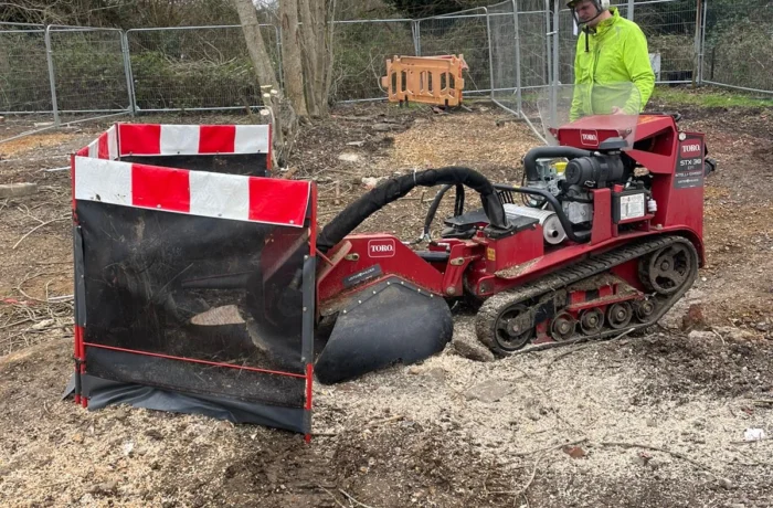 Crane-assisted removal of a large tree in a tight garden