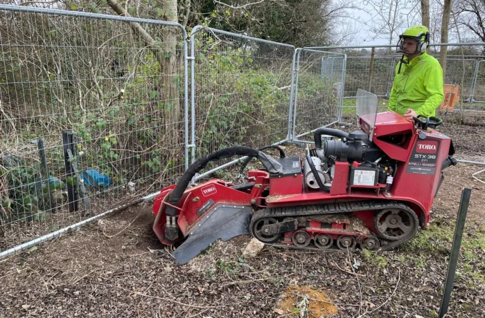 Crane-assisted removal of a large tree in a tight garden