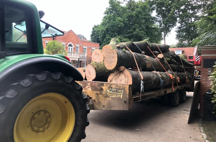 Crane-assisted removal of a large tree in a tight garden