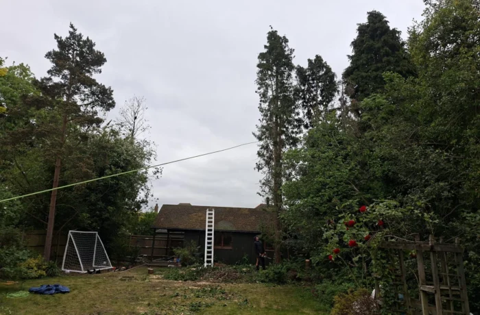 Tree management across a private estate