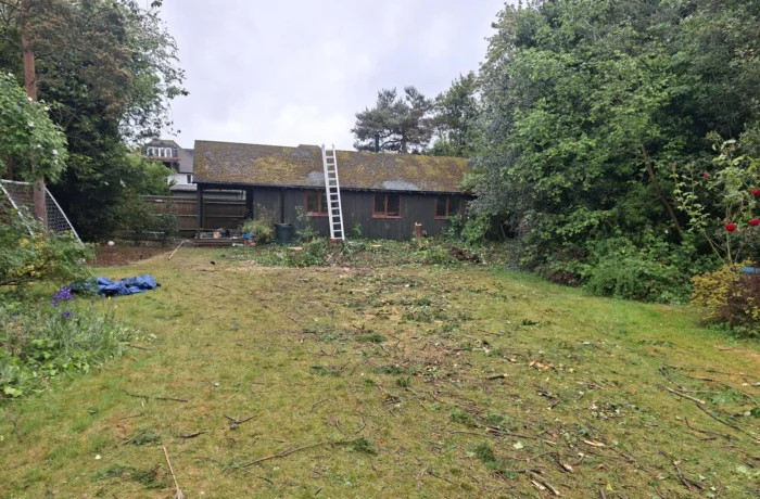 Tree management across a private estate