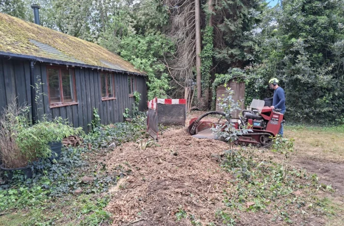 Tree management across a private estate