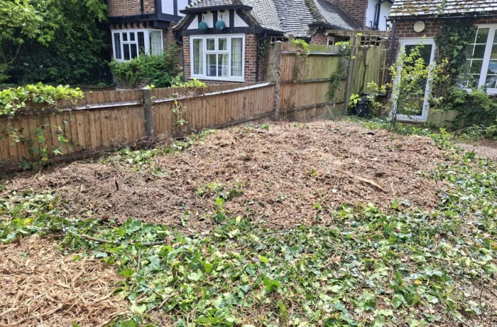 Tree management across a private estate