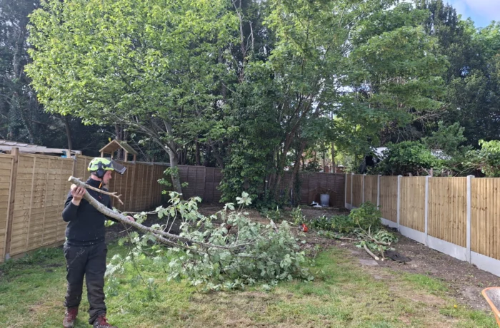 Garden clearance and new fencing