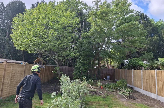Garden clearance and new fencing