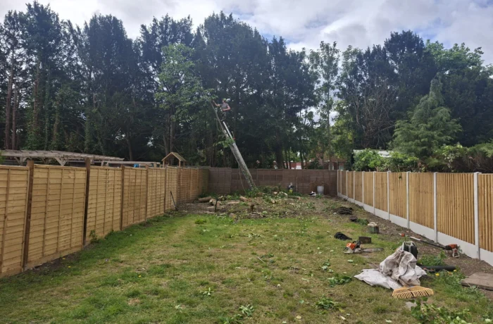 Garden clearance and new fencing