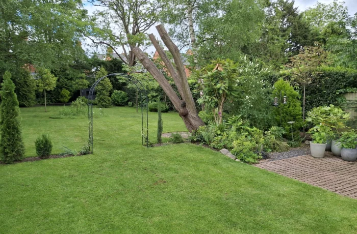 Tree care in a mature waterside garden