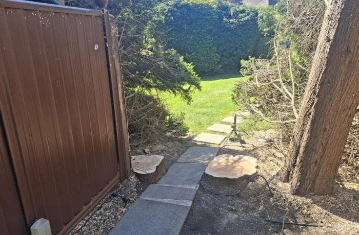 Opening up light in a mature wooded garden