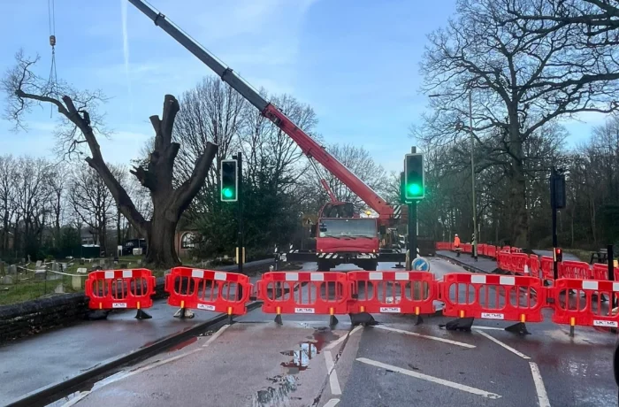 Historic Oak Tree Safely Pollarded in Wokingham to Ensure Public Safety